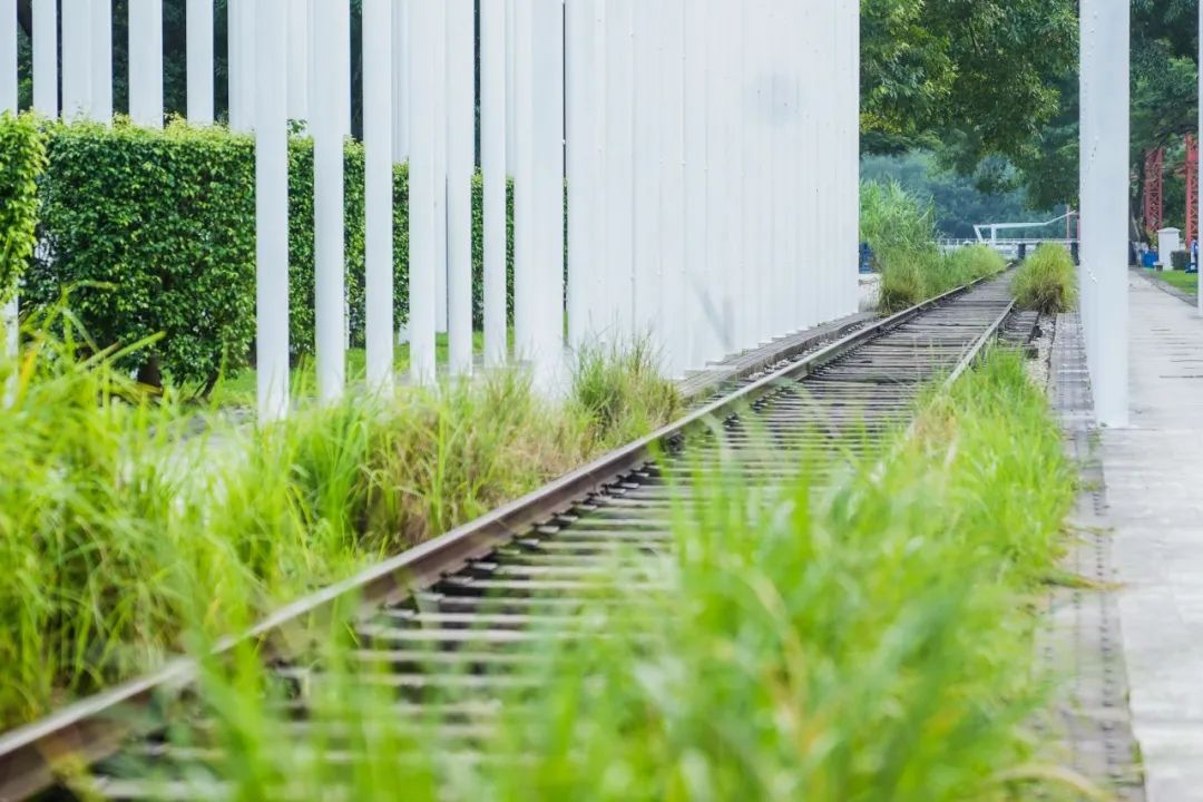 中山西区哪里好玩？中山市西区游玩攻略