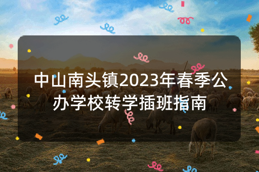 中山南头镇2023年春季公办学校转学插班指南