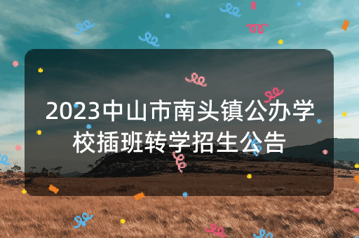 2023中山市南头镇公办学校插班转学招生公告